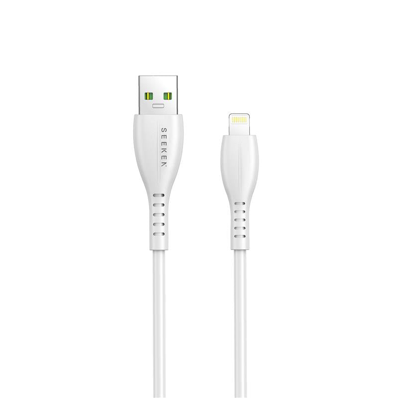 USB-A to Lightning Charging Cable (1 Meter)